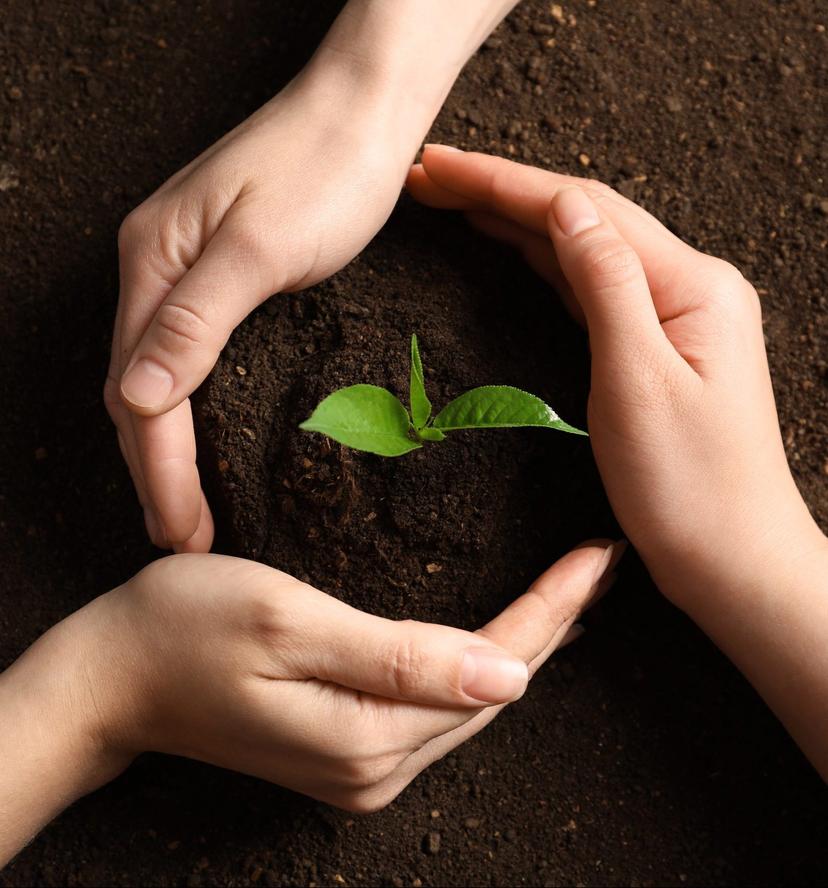 Better for the environment